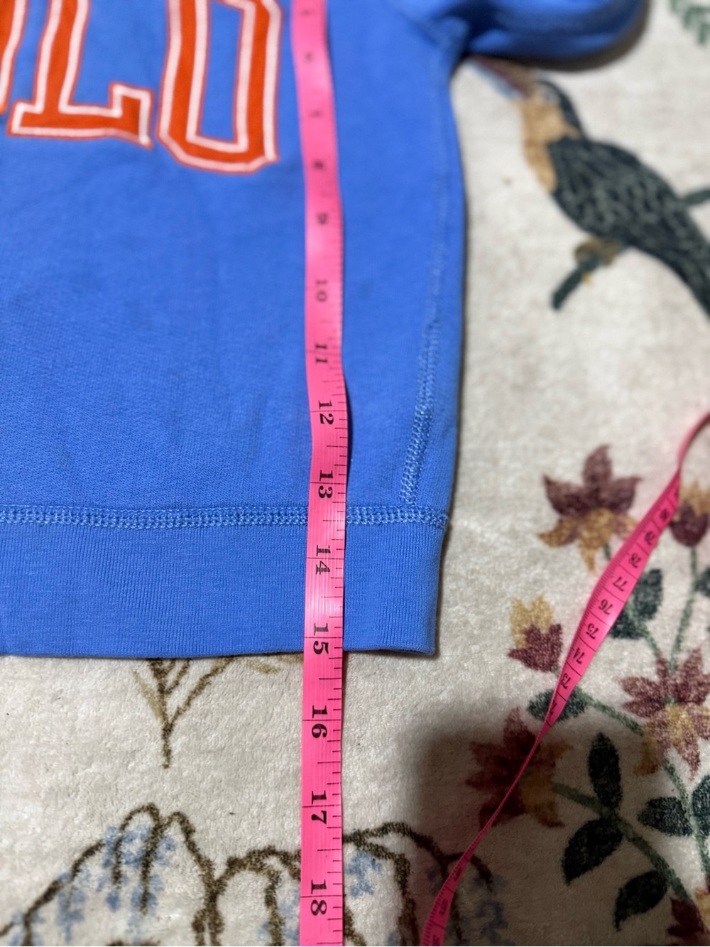 Polo by Ralph Lauren Blue Kids Sweatshirt 4T - Picture 6 of 9